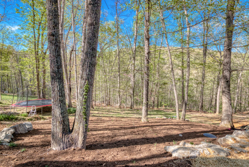2970-Mill-Wood-Ln-Blacksburg-12