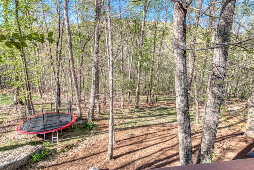 2970-Mill-Wood-Ln-Blacksburg-16