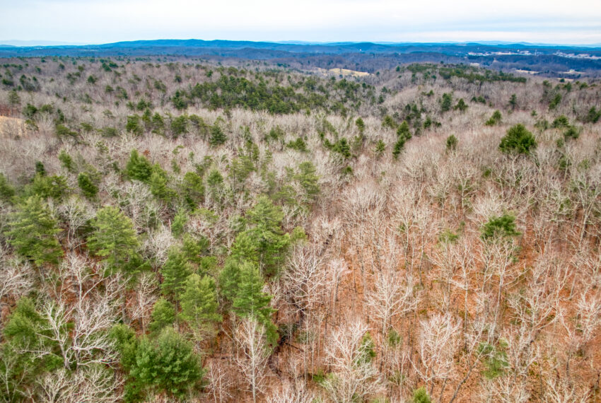 TBD-Wake-Forest-Rd-Lot-8A-Blacksburg_15-15