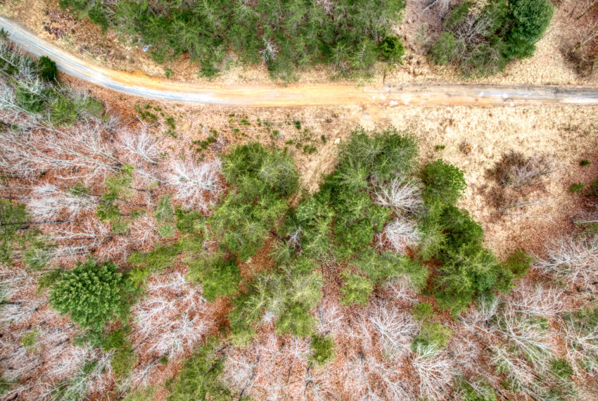 TBD-Wake-Forest-Rd-Lot-8A-Blacksburg_17-17