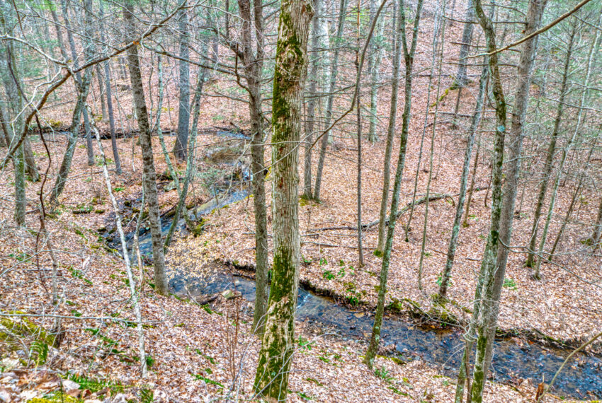 TBD-Wake-Forest-Rd-Lot-8A-Blacksburg_27-27
