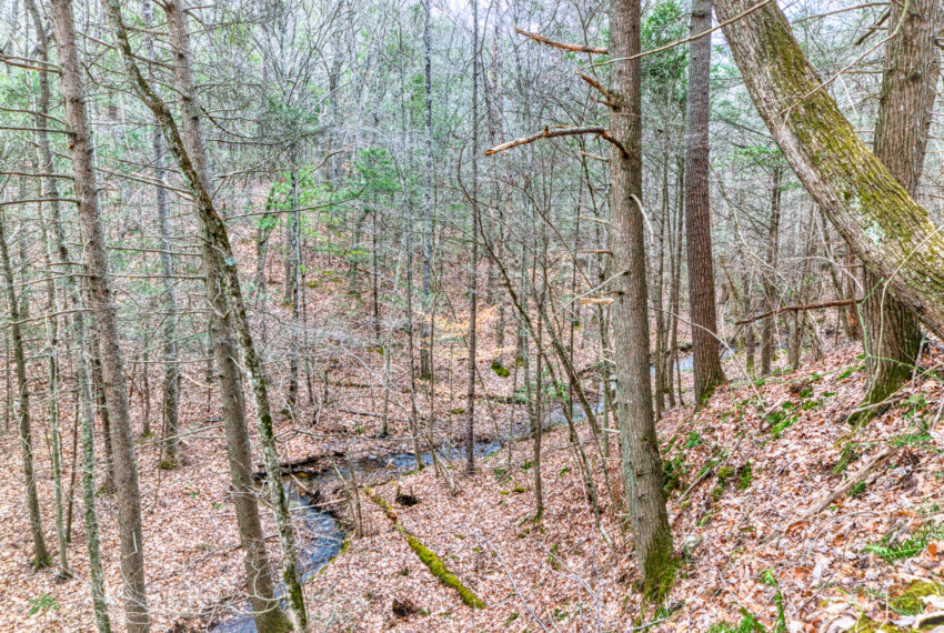 TBD-Wake-Forest-Rd-Lot-8A-Blacksburg_28-28