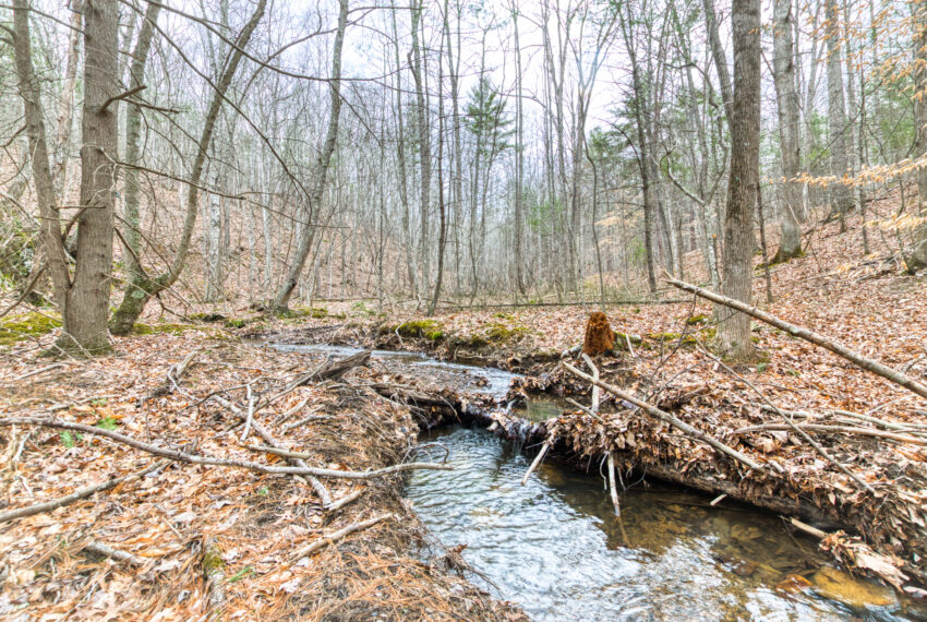 TBD-Wake-Forest-Rd-Lot-8A-Blacksburg_30-30
