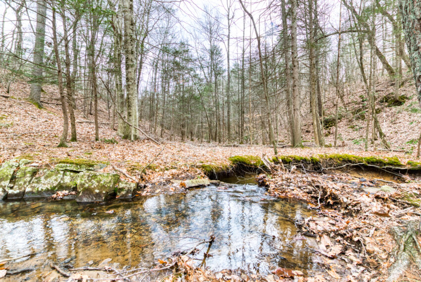 TBD-Wake-Forest-Rd-Lot-8A-Blacksburg_31-31