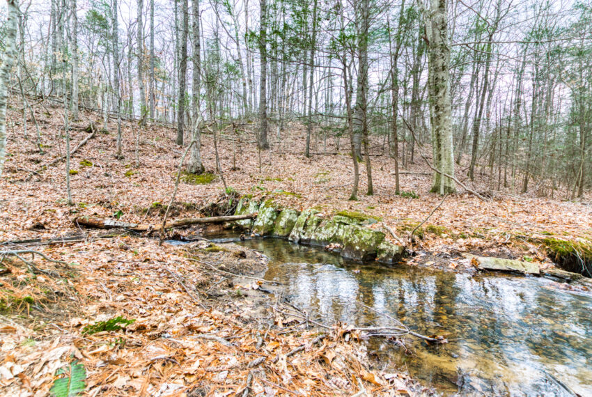 TBD-Wake-Forest-Rd-Lot-8A-Blacksburg_32-32
