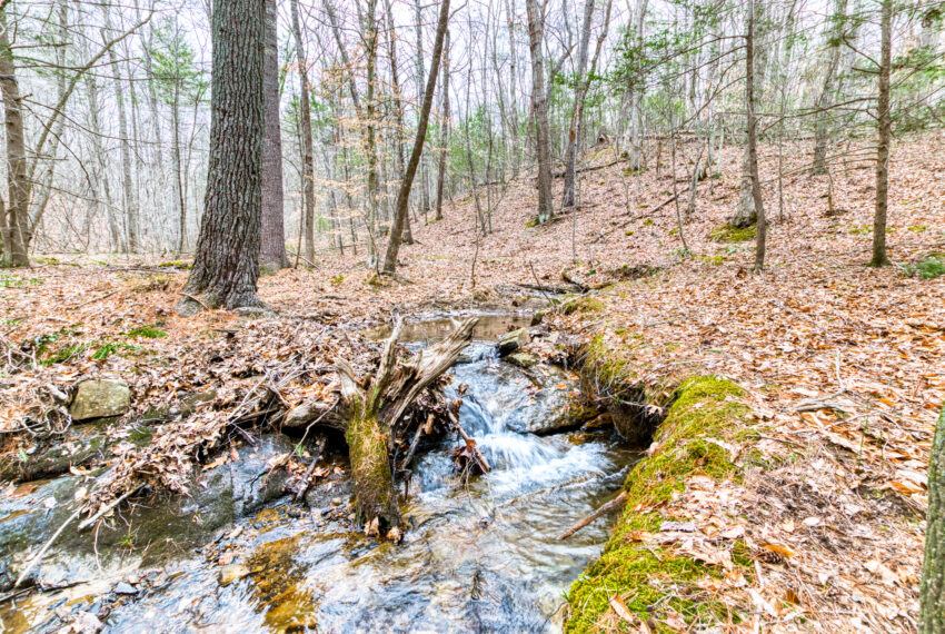 TBD-Wake-Forest-Rd-Lot-8A-Blacksburg_33-33