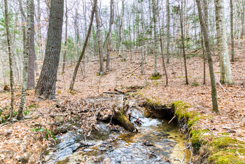 TBD-Wake-Forest-Rd-Lot-8A-Blacksburg_34-34