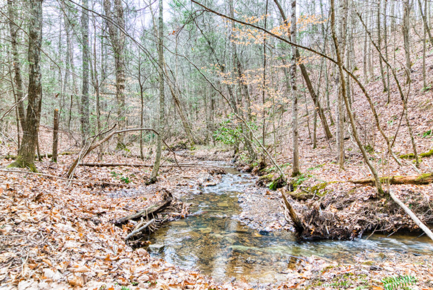 TBD-Wake-Forest-Rd-Lot-8A-Blacksburg_35-35