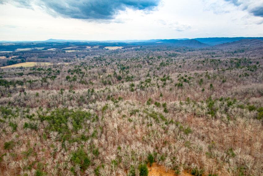 TBD-Wake-Forest-Rd-Lot-8A-Blacksburg_5-5